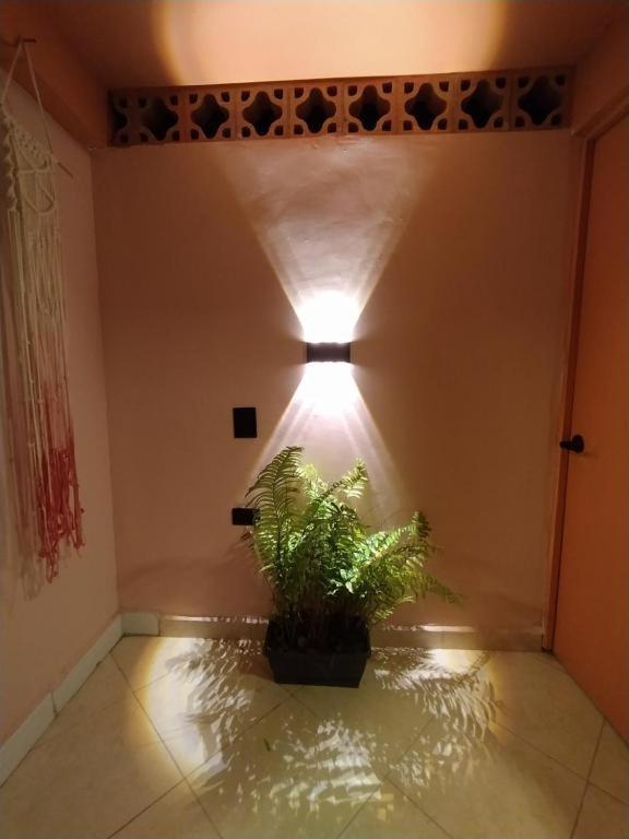 Hostal Casa Primavera Medellín Esterno foto