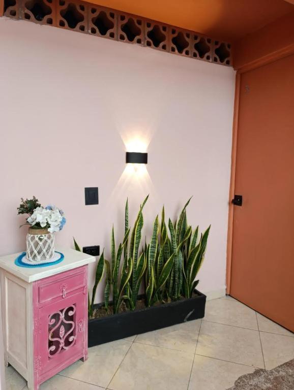 Hostal Casa Primavera Medellín Esterno foto