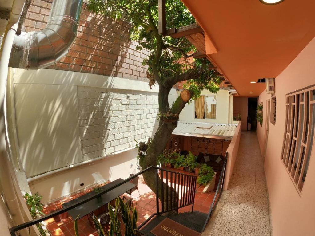 Hostal Casa Primavera Medellín Esterno foto